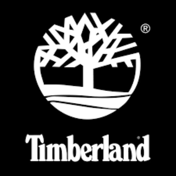 Timberland Men\'s Suede Boots main image 5